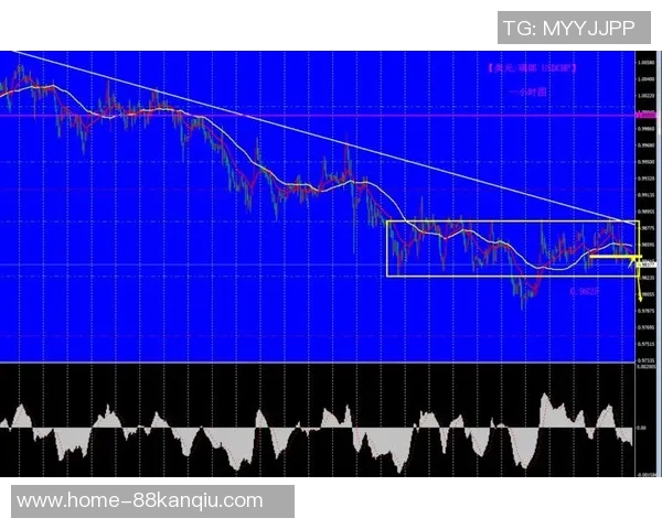 墨西哥对阵瑞典的欧盘亚盘分析与投注策略探讨